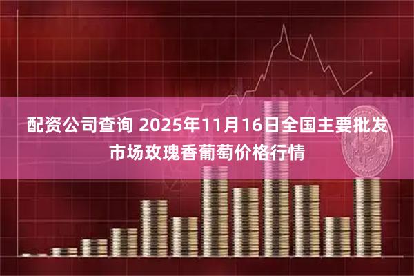 配资公司查询 2025年11月16日全国主要批发市场玫瑰香葡萄价格行情