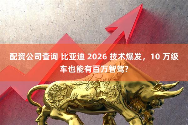 配资公司查询 比亚迪 2026 技术爆发，10 万级车也能有百万智驾?