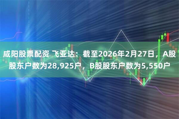 咸阳股票配资 飞亚达：截至2026年2月27日，A股股东户数为28,925户，B股股东户数为5,550户